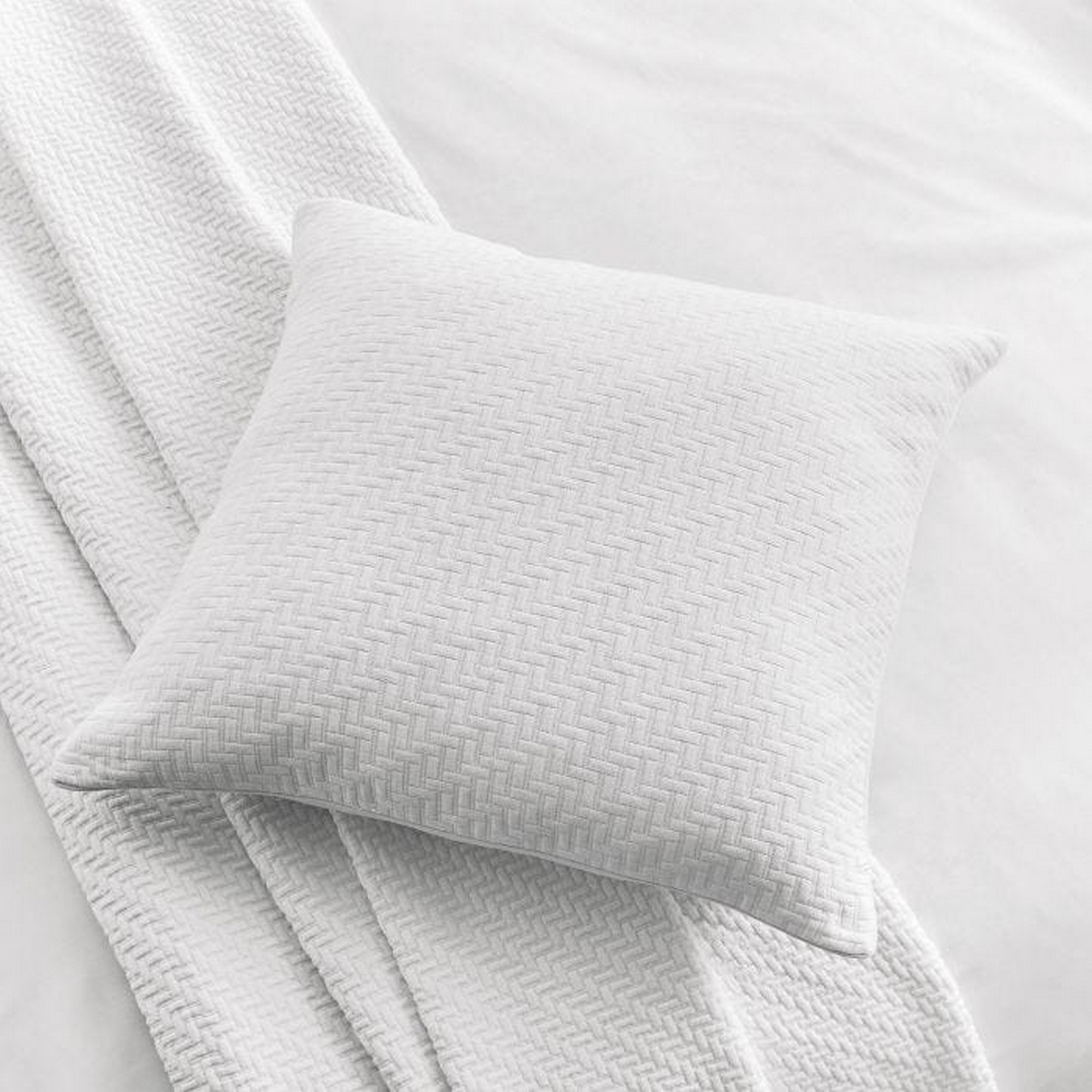 Andaz Feather Fine Linens Cotton Cushion In White